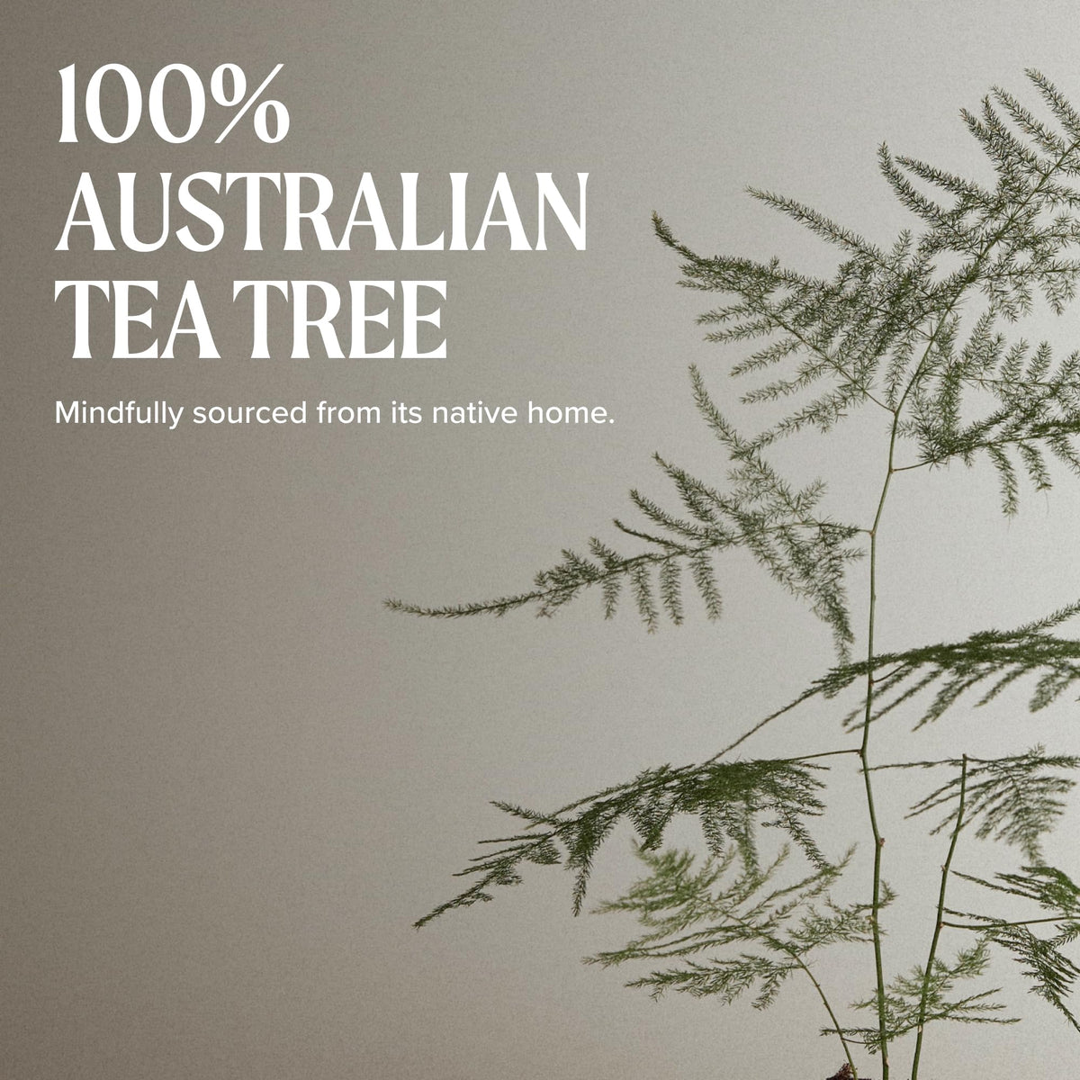 Tea Tree Hair and Body Moisturizer Leave-In Conditioner, Body Lotion, After-Shave Cream, For All Hair + Skin Types